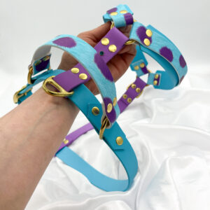 Personnalisation : Harnais Double 25mm