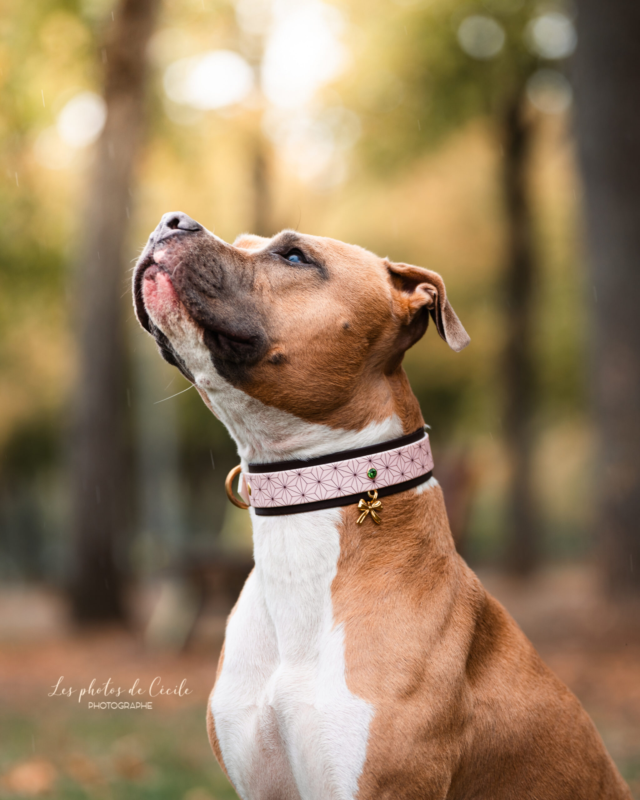 Collier Kimetsu 38mm – Image 8